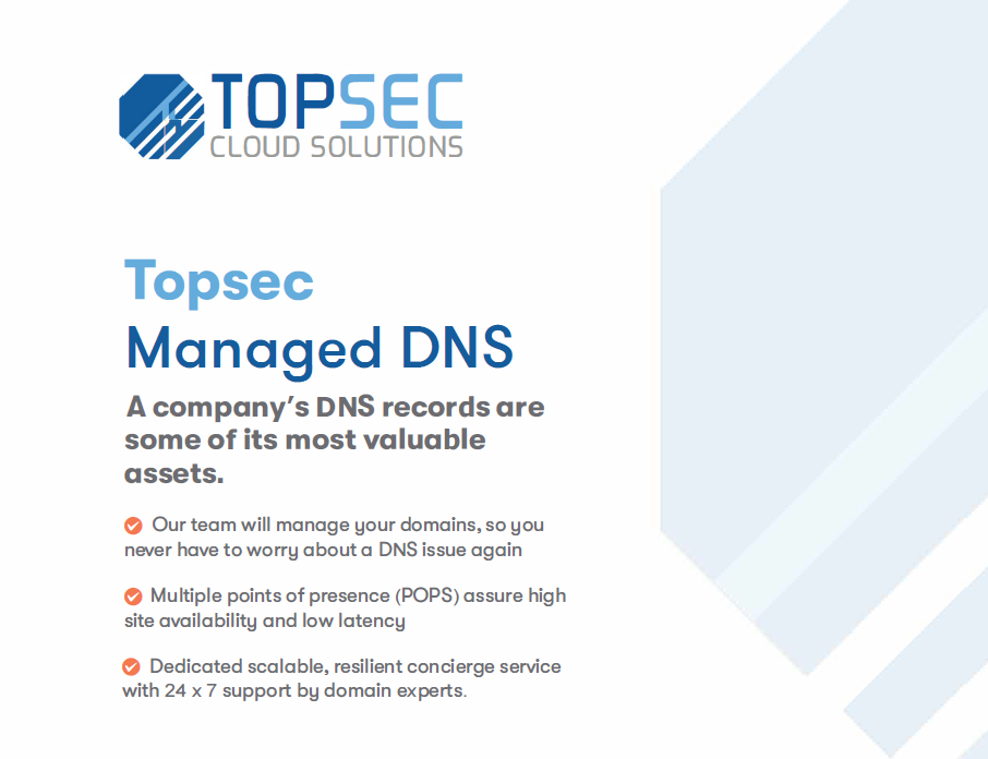 TOPSEC DNS
